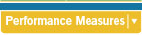 Performance Measure Tab